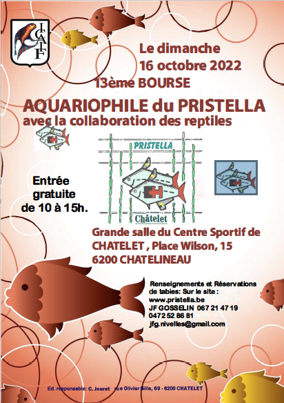 Bourse aquariophile de Pristella